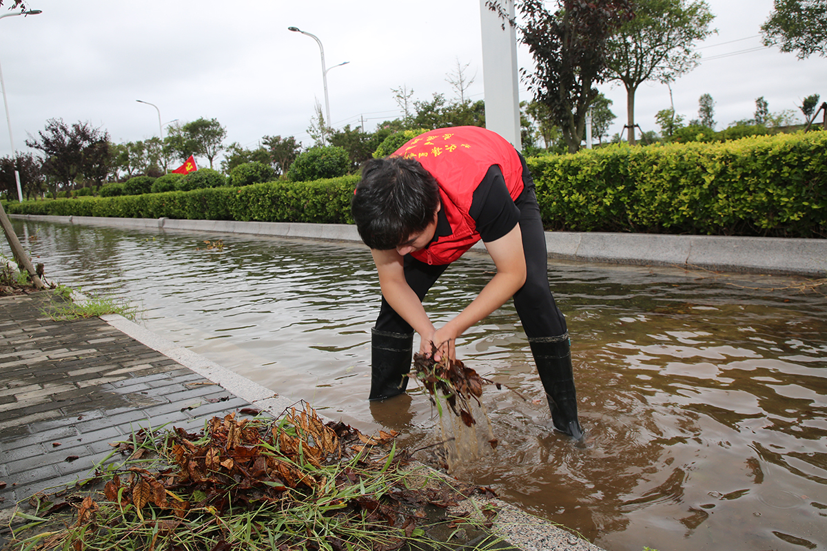 （0830審）高擎黨旗走在前 排澇疏浚顯擔當+新灘鹽場+朱蕓琦（封面圖）.jpg